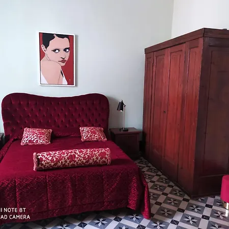 Maison Canopee