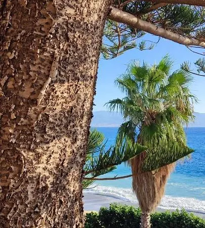 Maison Canopee Bed & Breakfast Messina